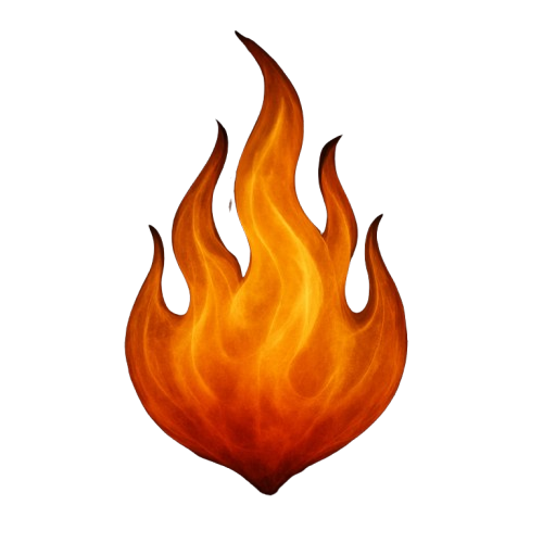 Pitta Fire